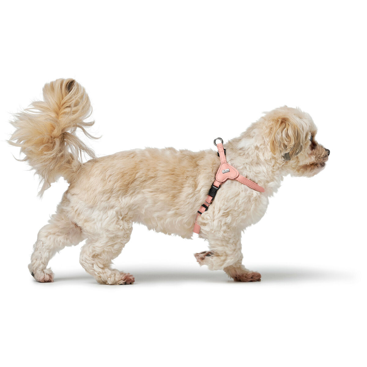 Hundesele Hunter SOHO MINI Pink XS/S